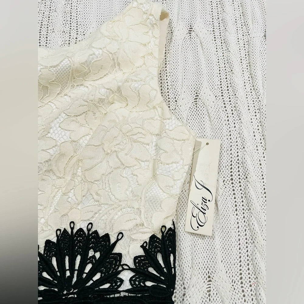 NWT Eliza J Black & White Lace Fit and Flare Midi Dress - Picture 10 of 15